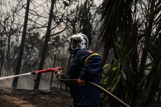 ΠΥΡΚΑΓΙΑ ΣΤΗΝ ΒΟΡΕΙΟΑΝΑΤΟΛΙΚΗ ΑΤΤΙΚΗ / ΜΕΤΩΠΟ ΣΤΟ ΚΡΥΟΝΕΡΙ (EUROKINISSI/ΒΑΣΙΛΗΣ ΡΕΜΠΑΠΗΣ)